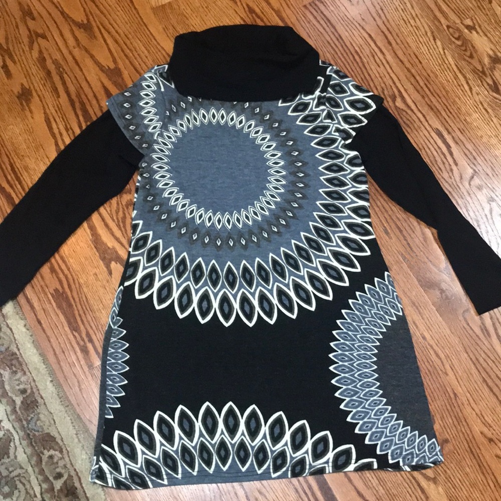 Aryeh Turtle Neck Sweater Dress